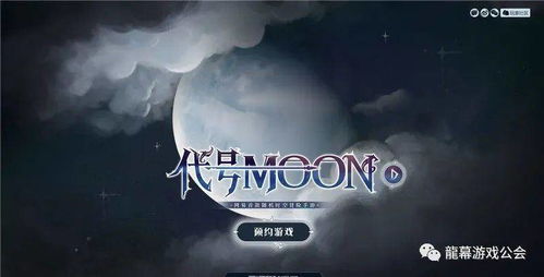 (代号花刺奇书网)代号花刺：揭开神秘组织背后隐藏的秘密与阴谋的惊心动魄之旅