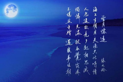 (无寂寥是什么意思)深入探讨‘无寂’一词的含义及其在现代生活中的启示与应用