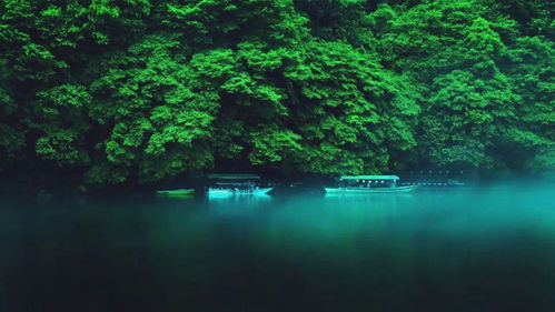 (电脑桌面壁纸 风景)美丽的电脑桌面风景壁纸全屏：让你的工作空间护眼又养心