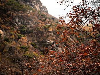 (神仙岭旅游攻略)探访神仙岭景区：领略自然风光与人文历史的完美结合之旅