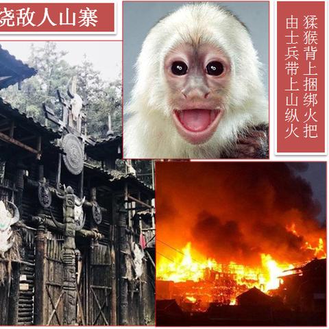 深入探讨三国吧兄弟攻略：战术策略、角色选择与团队配合的最佳实践
