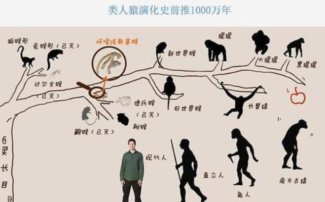 第七文明人物等级一览：探寻历史上的伟人及其在人类文明演变中的重要作用