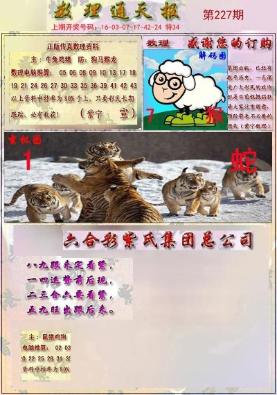 今晚最准四不像图144期|预测解答解释落实_PS.9.62