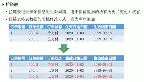 494949开奖结果查询|精确数据解释落实_可靠型.1.464
