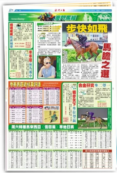 2024年澳门王中王资料|自然之美与心灵之旅_开发品.2.117