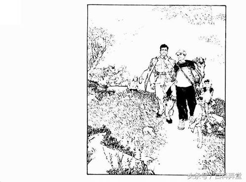 刘伯温最准资料论坛免费|优质信息尽在掌握_稀缺版.0.535