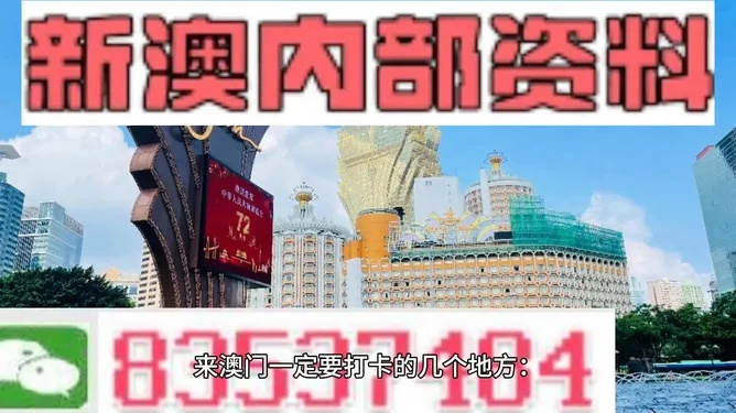 澳门天龙四肖八码|精选解释解析落实_未来版THE.6.524