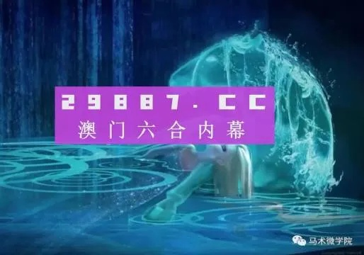 澳门天龙四肖八码|精选解释解析落实_未来版THE.6.524