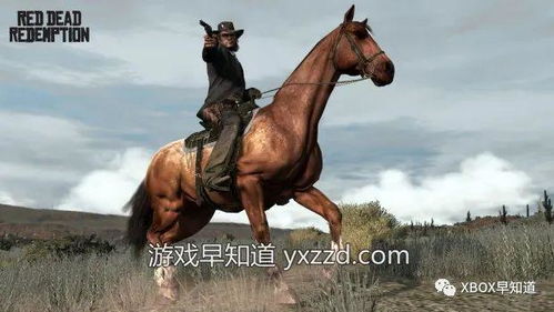 2024年四不像图片大全|经典理论与实践的完美结合_eShop.9.91