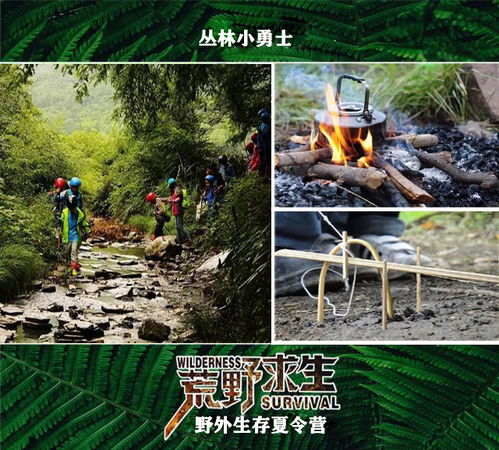 森林生存无广吿免费下载-森林生存免广告下载v.6.16