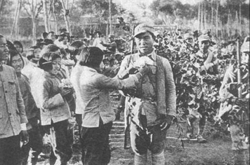 揭秘世界各国国家动物代号，揭示不为人知的有趣故事和背后的文化象征
