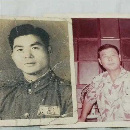 (梦境彼岸为什么下架了)梦境彼岸为什么会突然下架？探究背后的原因和影响。