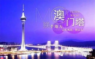 澳门必中三肖三凤凰网|多方面的支持计划与实施_说明版.5.289