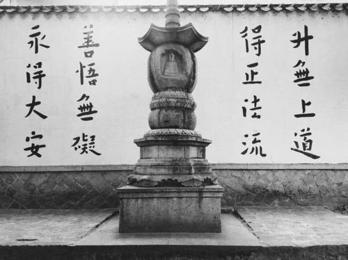 金牛版四肖八码凤凰艺术|探索科技新趋势与未来生活_潮流版.1.877