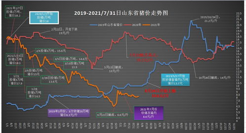 2024香港特马开奖结果|未来趋势与机遇解析_奢华集.7.246