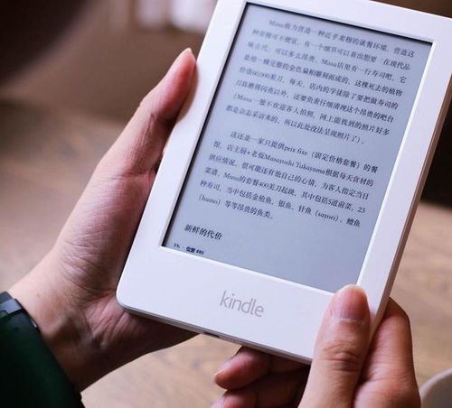 新奥全部开奖记录查询|探索城市中的未知魅力_Kindle.0.323