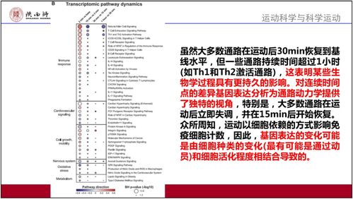新澳最快开奖结果出来了|解析时代背景下的资料解读_精简版1.802