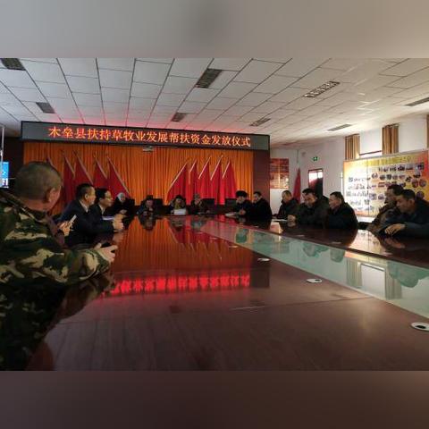 新澳天天免费资料大全|探索生活中的智慧与灵感_激发集.7.265