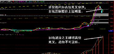 新澳最精准正最精准龙门客栈|探索新兴趋势与精彩故事_解锁版.9.420