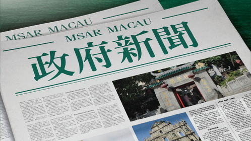 2020年新澳门免费资料大全|详细数据解释落实_适应款.0.731