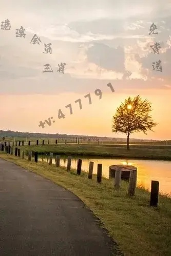 2024澳门天天开好彩大全4|轻松玩转生活小技巧_win.1.31