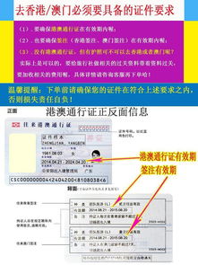 新澳门天天开奖结果|深入解答解释落实_MP.8.420