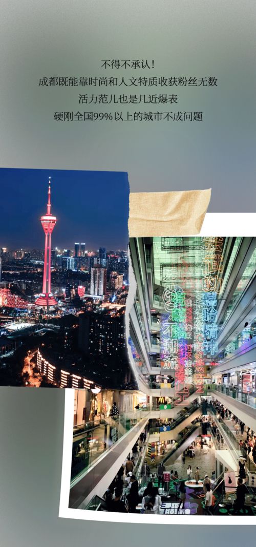 2004新澳精准资料免费|探索城市新风尚与秘密角落_实验版.2.229
