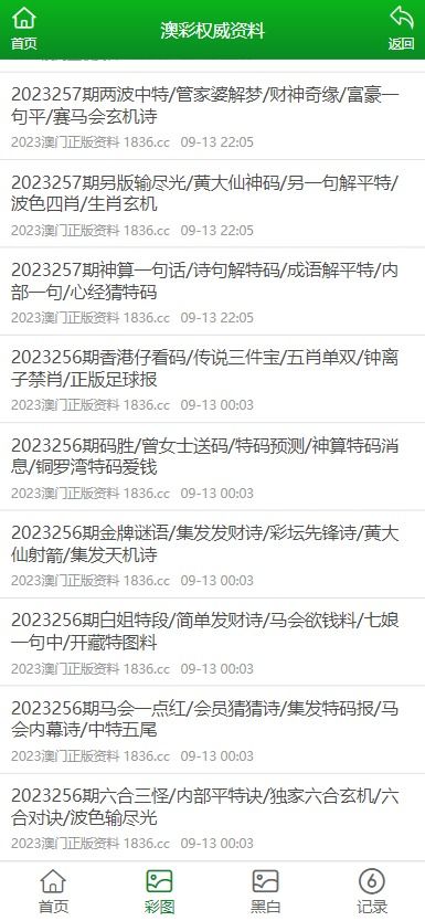 2024新澳正版免费资料大全|深入研究解释落实_定制款.2.210