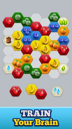 水果合并融合(Fruit Merge)官网下载-水果合并融合(Fruit Merge)游戏安卓版下载v.9.77
